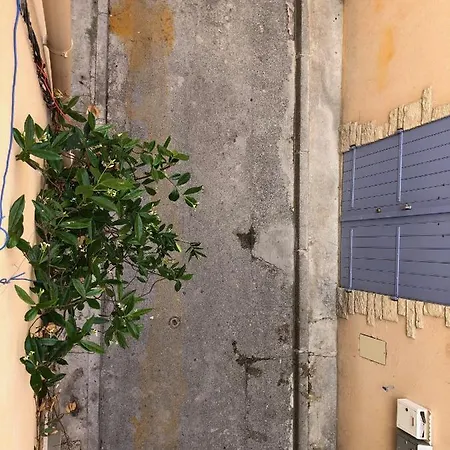 公寓 A La 拉西约塔