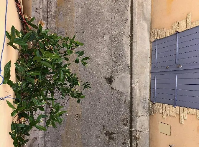 Apartment A La La Ciotat